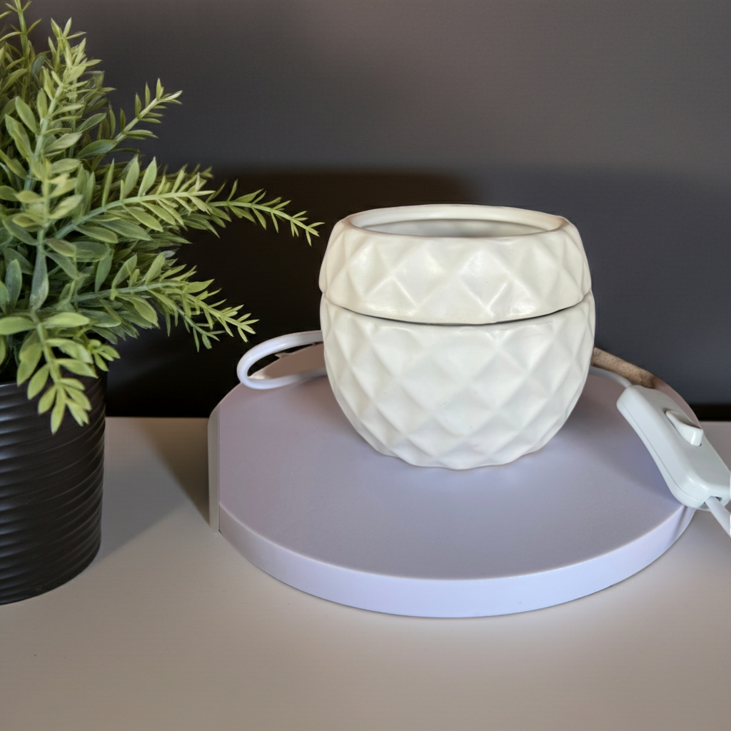 Electric Wax Warmer