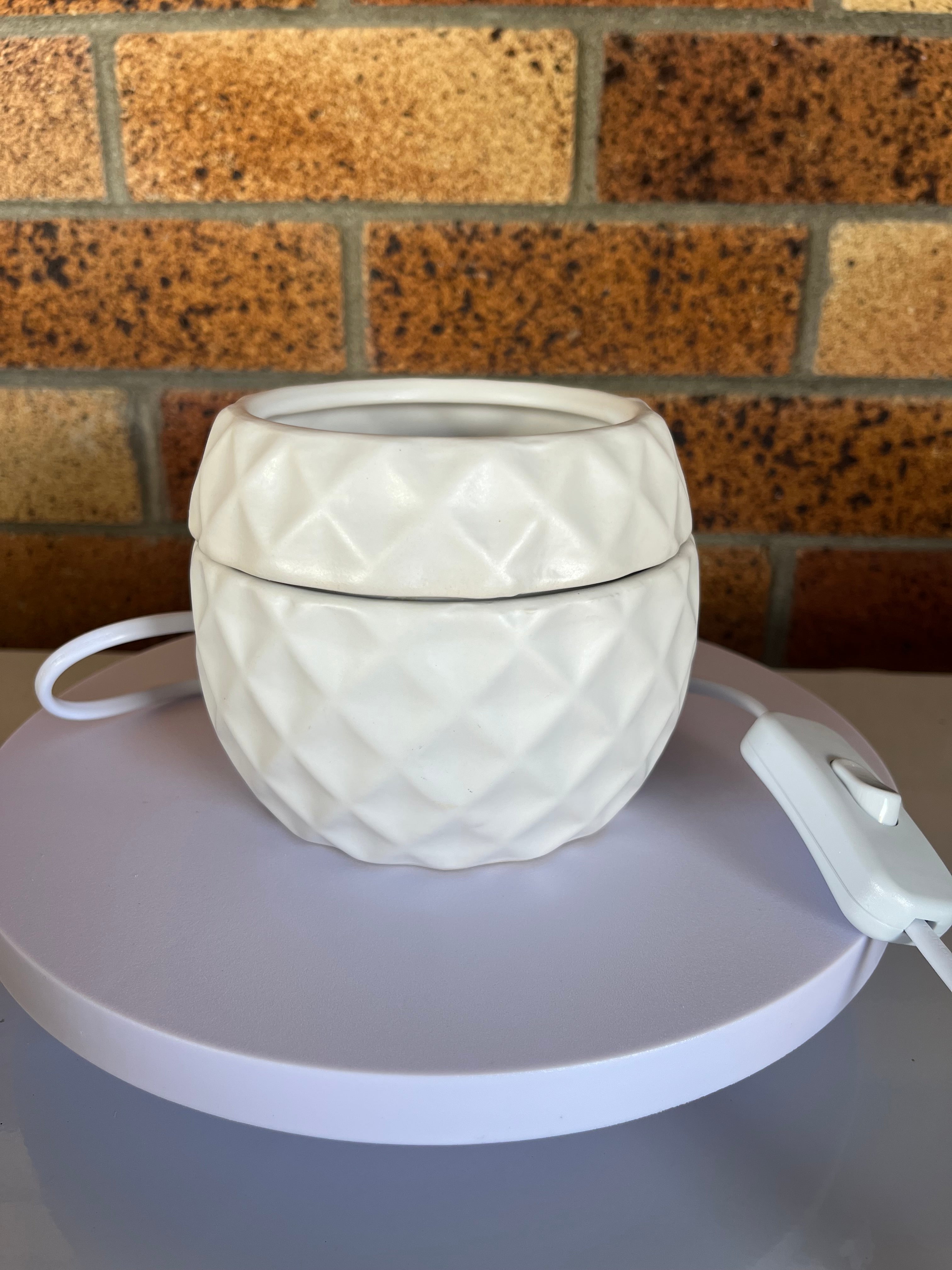 Electric Wax Warmer