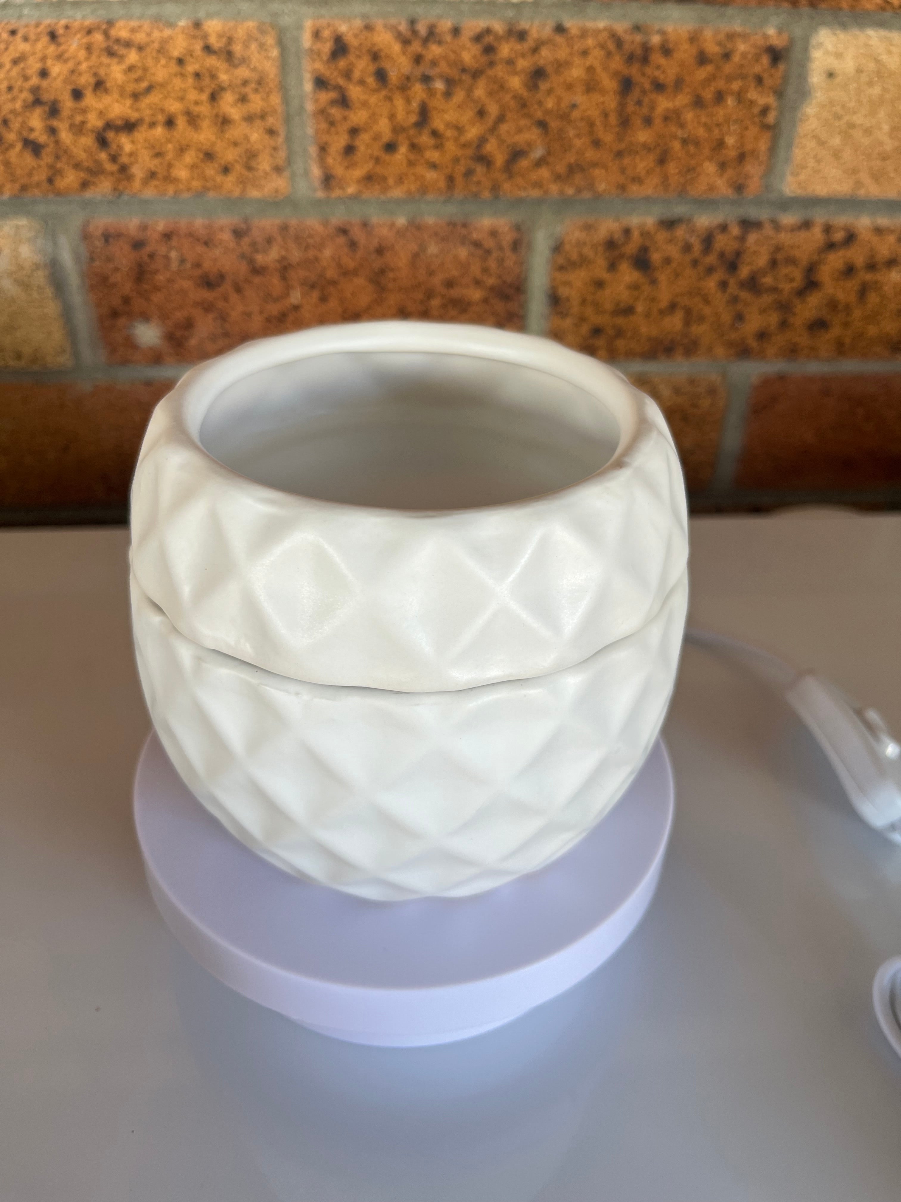 Electric Wax Warmer