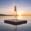 Halo EDP